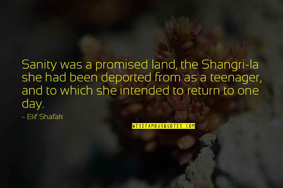 No More A Teenager Quotes By Elif Shafak: Sanity was a promised land, the Shangri-la she