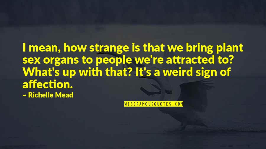 No More Affection Quotes By Richelle Mead: I mean, how strange is that we bring