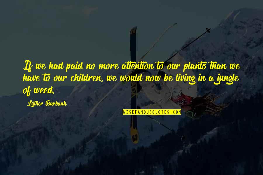 No More Attention Quotes By Luther Burbank: If we had paid no more attention to