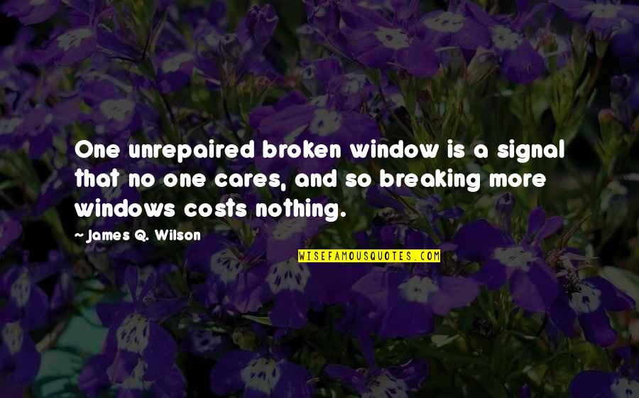 No More Care Quotes By James Q. Wilson: One unrepaired broken window is a signal that