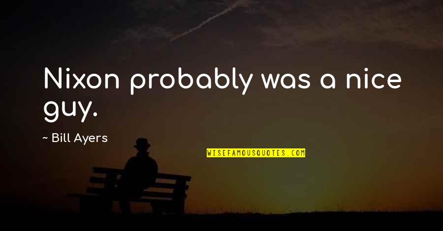 No More Mr. Nice Guy Quotes By Bill Ayers: Nixon probably was a nice guy.