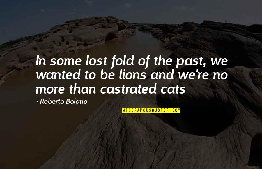 No More Quotes By Roberto Bolano: In some lost fold of the past, we