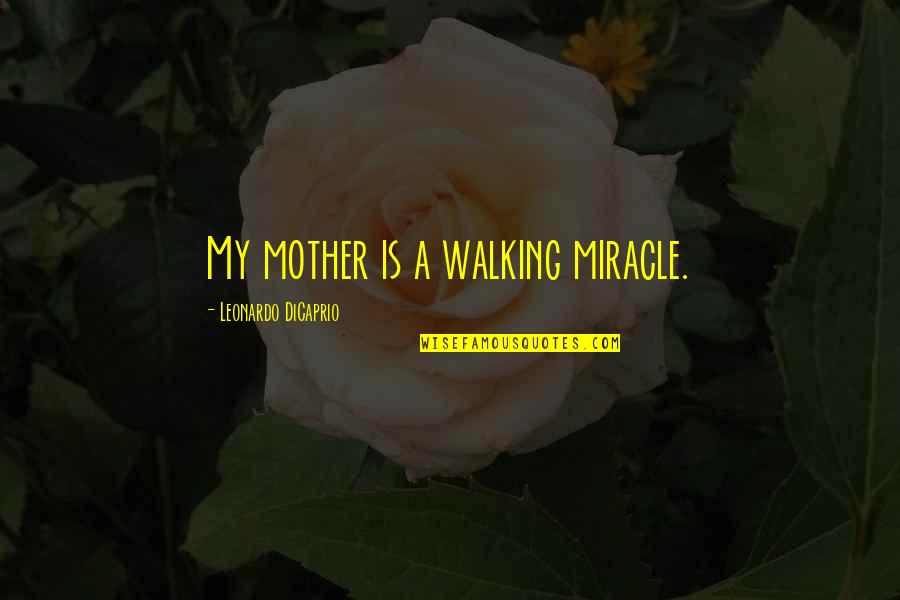 No Mother On Mothers Day Quotes By Leonardo DiCaprio: My mother is a walking miracle.