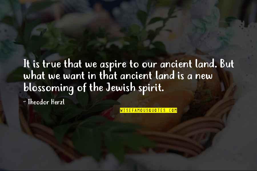 No New Land Quotes By Theodor Herzl: It is true that we aspire to our