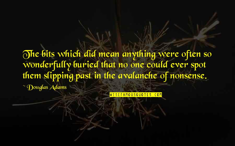 No Nonsense Quotes By Douglas Adams: The bits which did mean anything were often