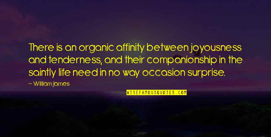 No Occasion Quotes By William James: There is an organic affinity between joyousness and