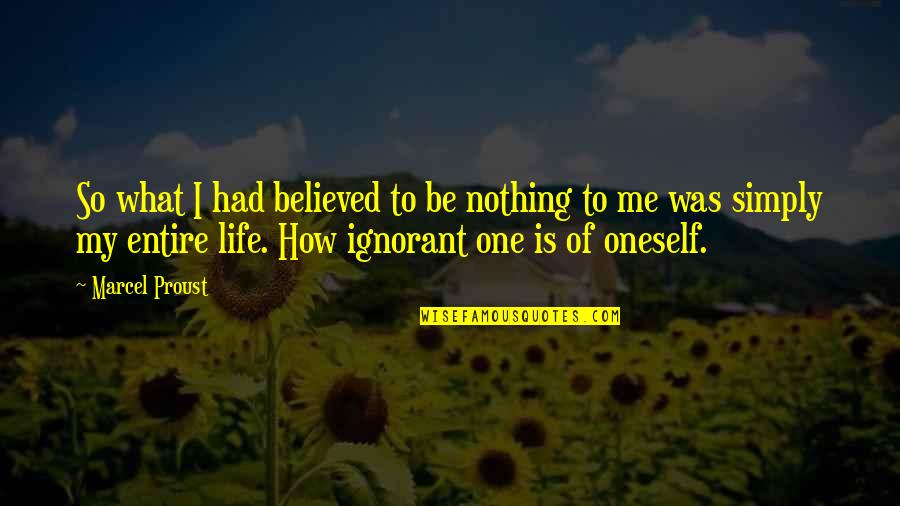 No One Believed Me Quotes By Marcel Proust: So what I had believed to be nothing