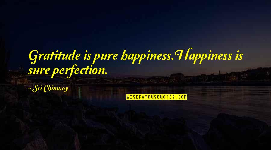 No One Can Hurt Me Quotes By Sri Chinmoy: Gratitude is pure happiness.Happiness is sure perfection.