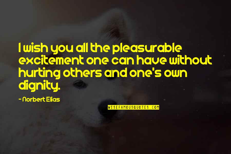 No One Can Hurt You Quotes By Norbert Elias: I wish you all the pleasurable excitement one