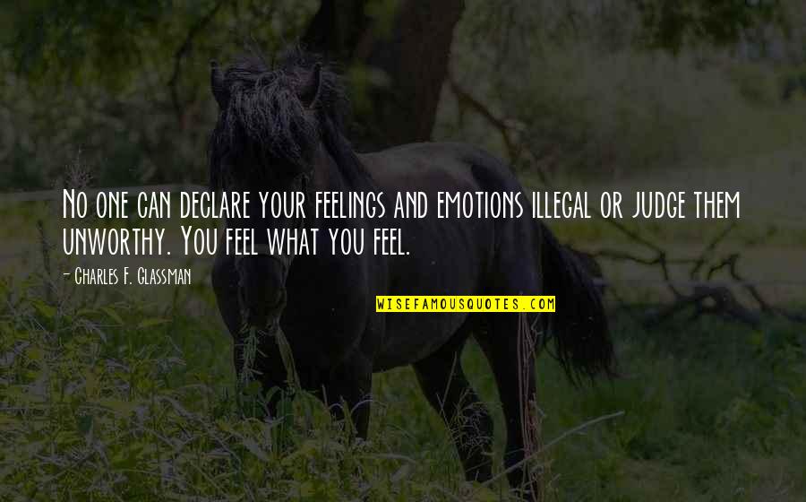 No One Can Judge Quotes By Charles F. Glassman: No one can declare your feelings and emotions