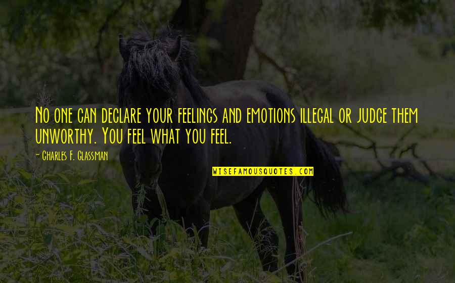 No One Can Judge You Quotes By Charles F. Glassman: No one can declare your feelings and emotions