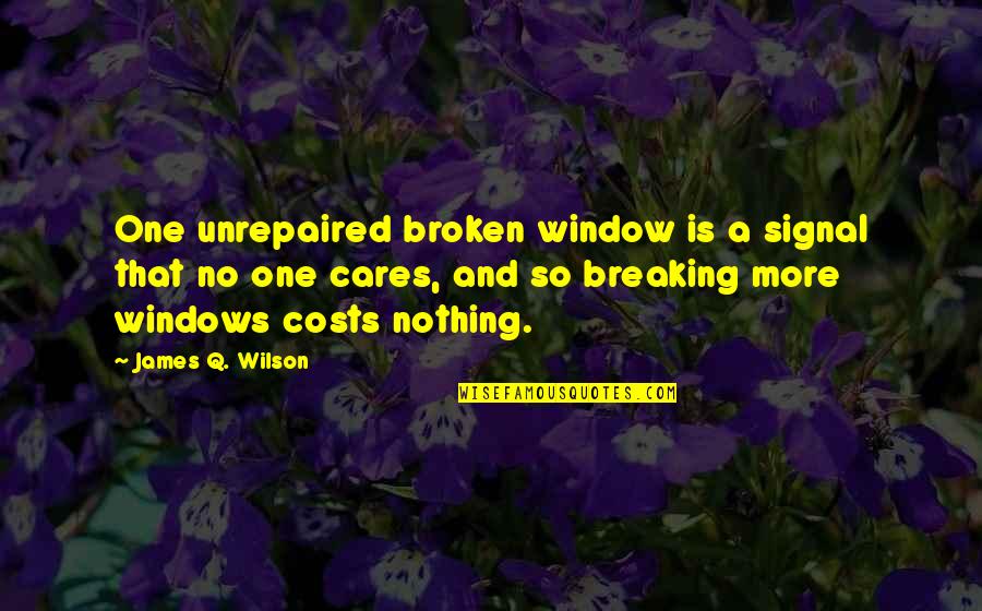 No One Care Quotes By James Q. Wilson: One unrepaired broken window is a signal that