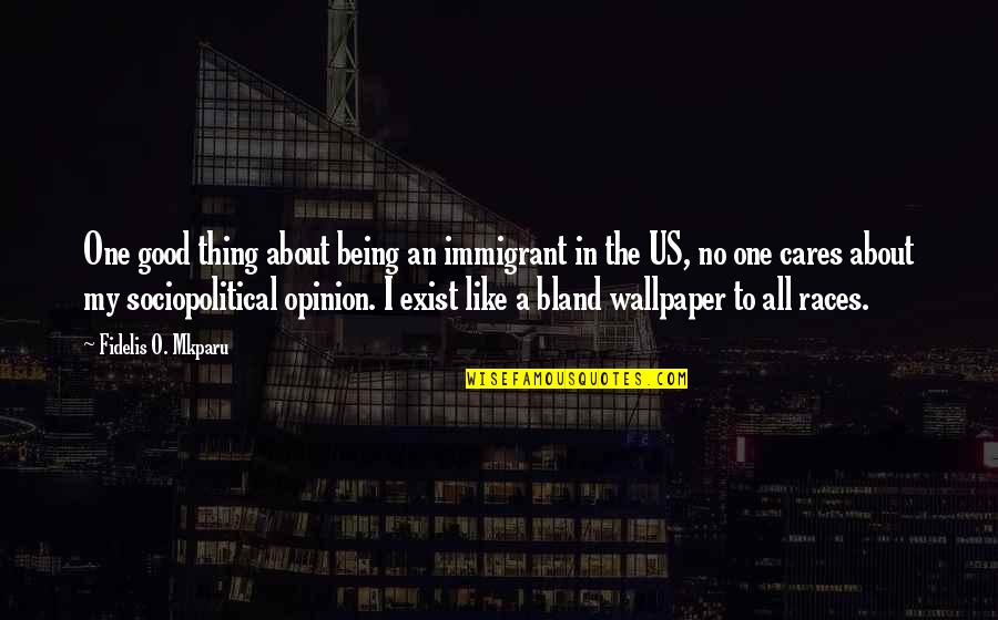 No One Cares About You Quotes By Fidelis O. Mkparu: One good thing about being an immigrant in