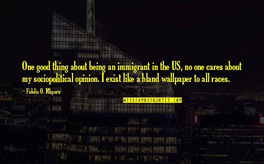 No One Cares About Your Opinion Quotes By Fidelis O. Mkparu: One good thing about being an immigrant in