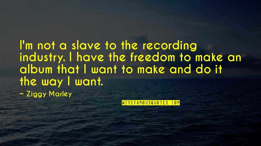 No One Going To Gatsby Funeral Quotes By Ziggy Marley: I'm not a slave to the recording industry.