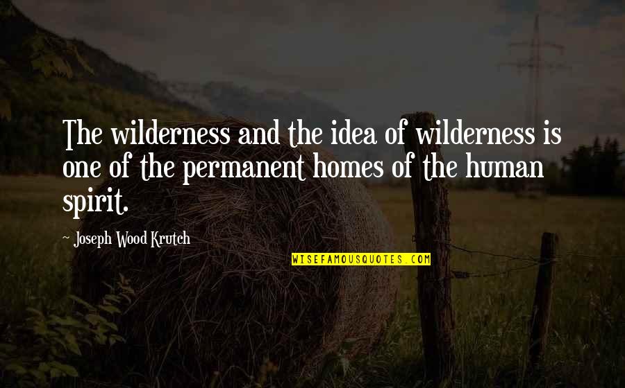 No One Is Permanent Quotes By Joseph Wood Krutch: The wilderness and the idea of wilderness is