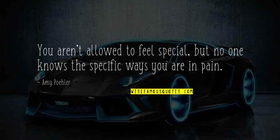 No One Knows The Pain I Feel Quotes By Amy Poehler: You aren't allowed to feel special, but no