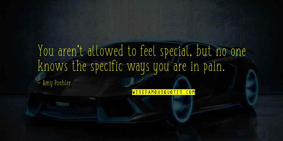 No One Knows The Pain Quotes By Amy Poehler: You aren't allowed to feel special, but no