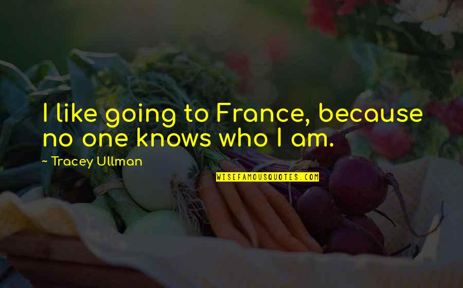 No One Knows Who I Am Quotes By Tracey Ullman: I like going to France, because no one