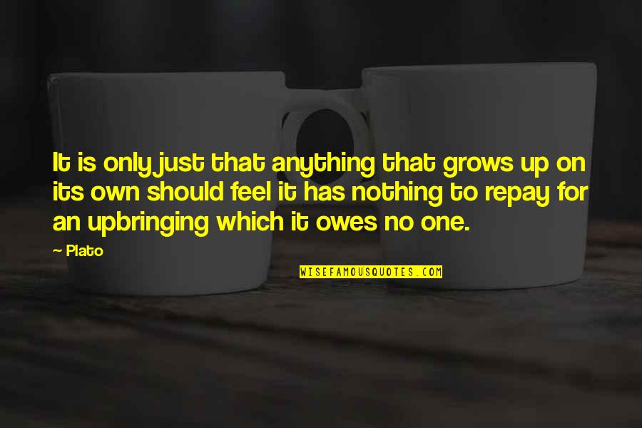 No One Owes You Quotes By Plato: It is only just that anything that grows No One Owes You Quotes By Plato: It is only just that anything that grows