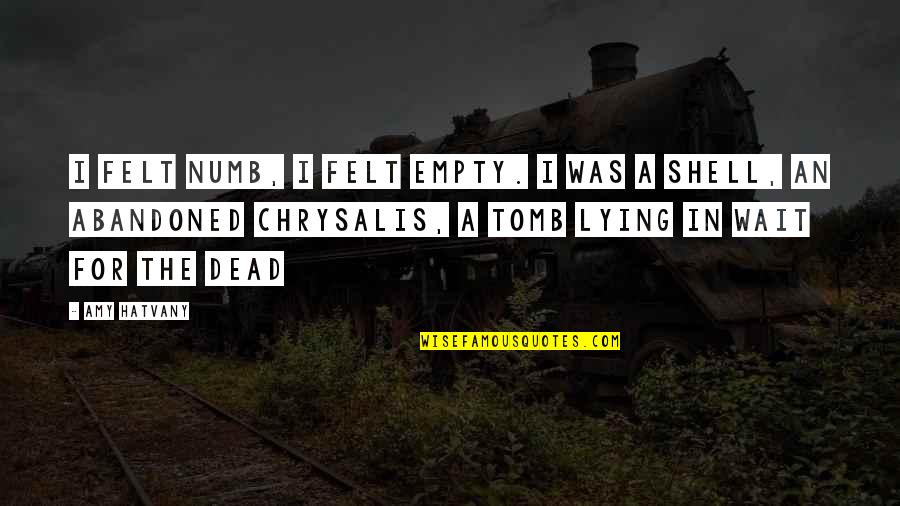 No One Takes Me Seriously Quotes By Amy Hatvany: I felt numb, I felt empty. I was No One Takes Me Seriously Quotes By Amy Hatvany: I felt numb, I felt empty. I was