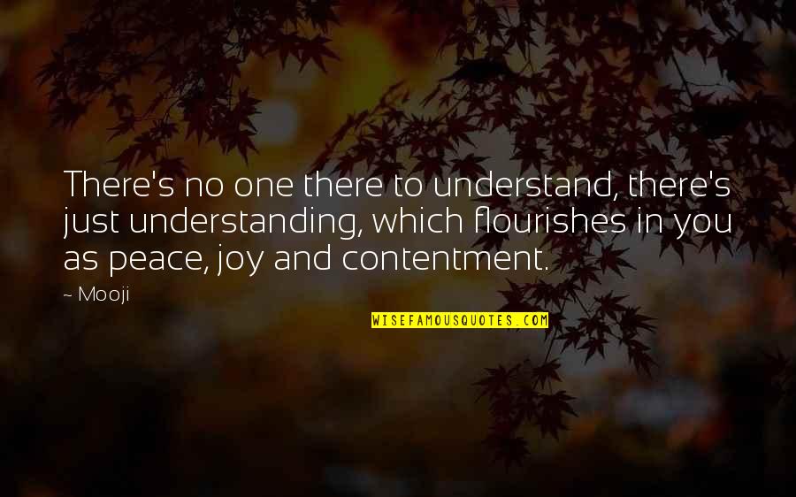 No One To Understand Quotes By Mooji: There's no one there to understand, there's just