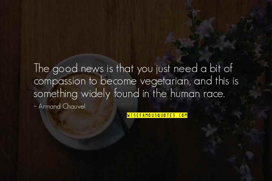 No One Will Get Between Us Quotes By Armand Chauvel: The good news is that you just need