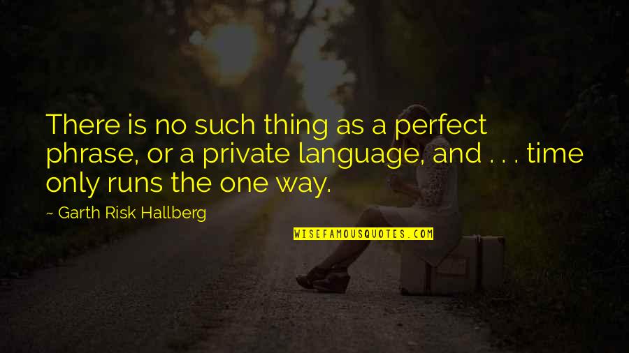 No One's Perfect Quotes By Garth Risk Hallberg: There is no such thing as a perfect