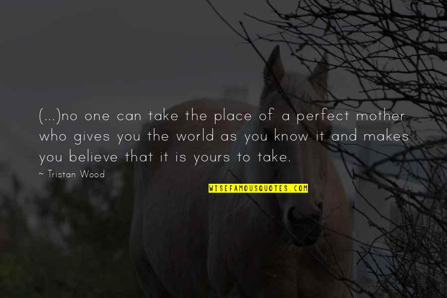 No One's Perfect Quotes By Tristan Wood: (...)no one can take the place of a