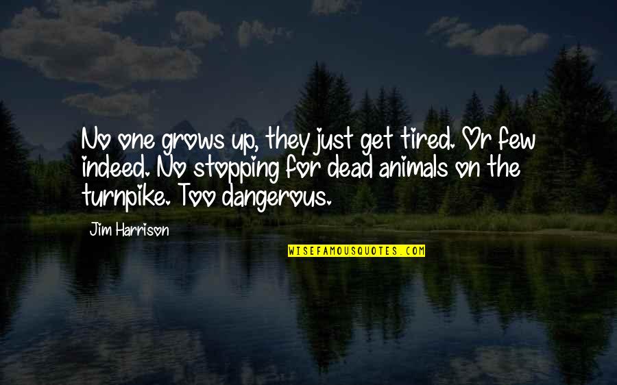 No One's Stopping You Quotes By Jim Harrison: No one grows up, they just get tired.