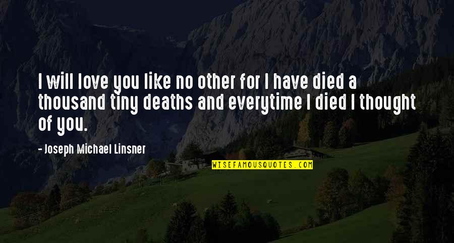 No Other Like You Quotes By Joseph Michael Linsner: I will love you like no other for