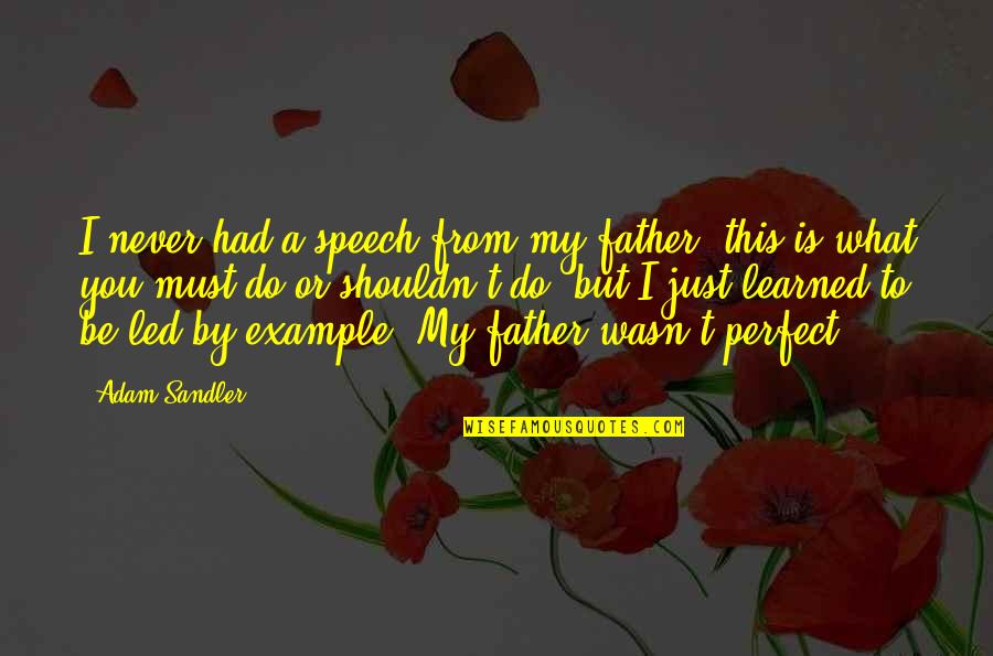 No Perfect Dad Quotes By Adam Sandler: I never had a speech from my father No Perfect Dad Quotes By Adam Sandler: I never had a speech from my father