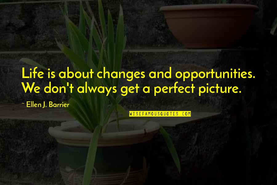 No Picture Perfect Quotes By Ellen J. Barrier: Life is about changes and opportunities. We don't