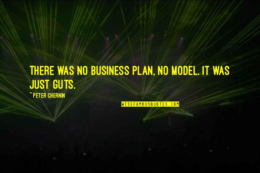 No Plan Quotes By Peter Chernin: There was no business plan, no model. It