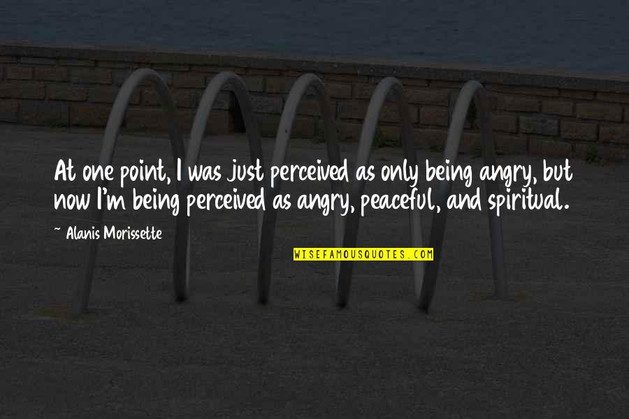No Point Being Angry Quotes By Alanis Morissette: At one point, I was just perceived as