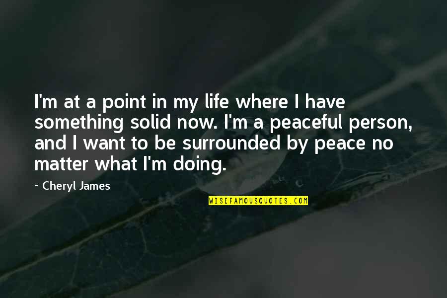 No Point In Life Quotes By Cheryl James: I'm at a point in my life where