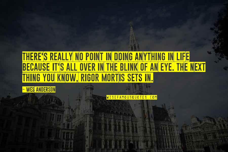 No Point In Life Quotes By Wes Anderson: There's really no point in doing anything in