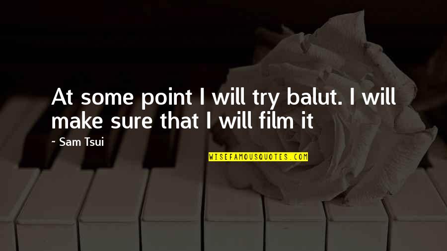 No Point In Trying Quotes By Sam Tsui: At some point I will try balut. I
