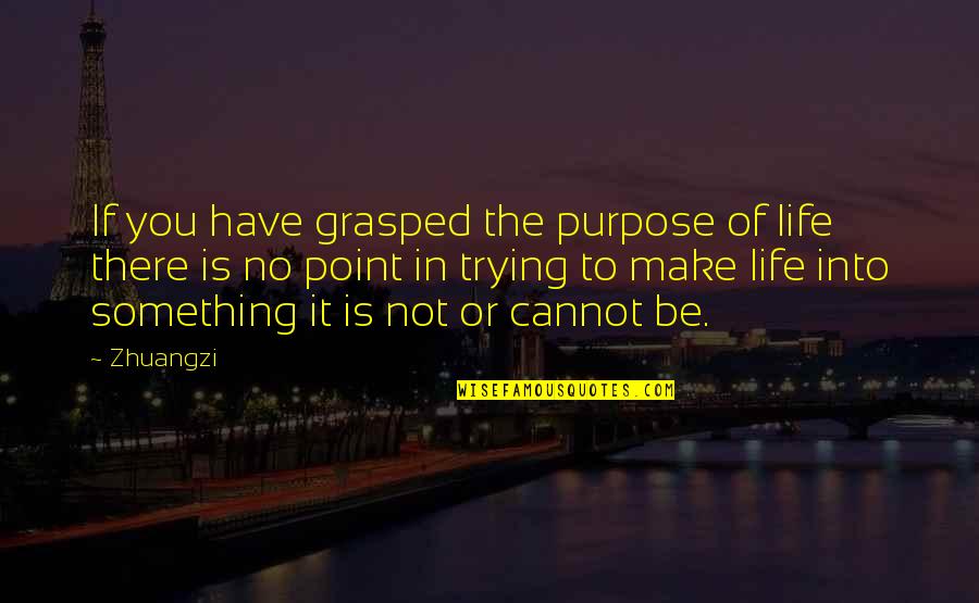 No Point In Trying Quotes By Zhuangzi: If you have grasped the purpose of life