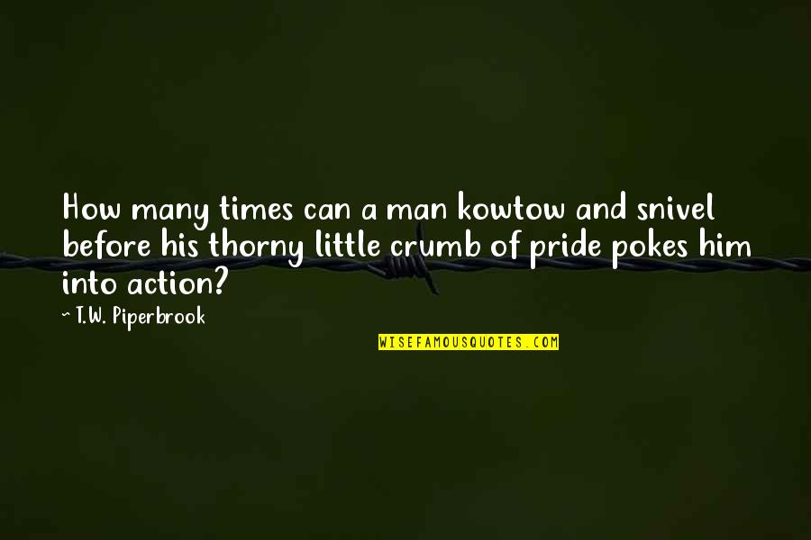 No Pokes Quotes By T.W. Piperbrook: How many times can a man kowtow and