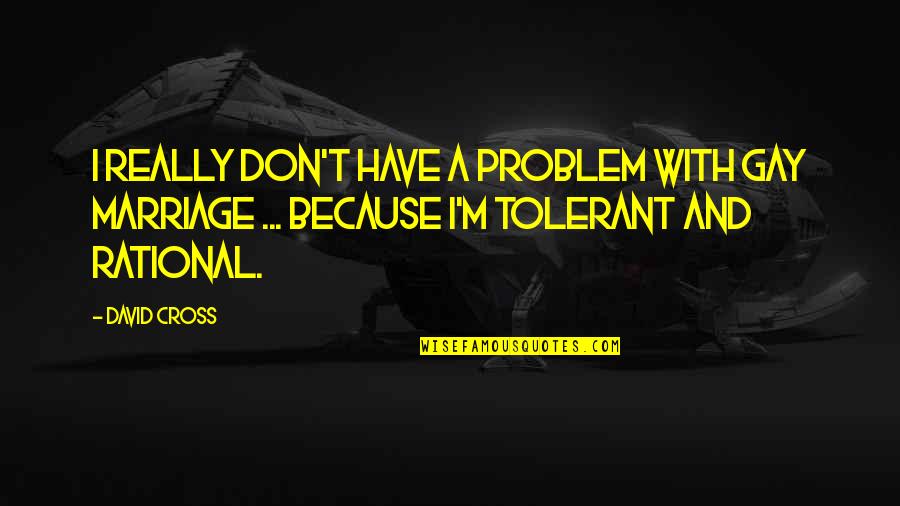 No Problem Funny Quotes By David Cross: I really don't have a problem with gay