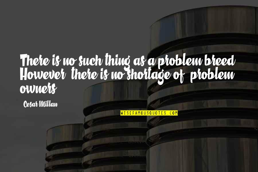 No Problem Is A Problem Quotes By Cesar Millan: There is no such thing as a problem