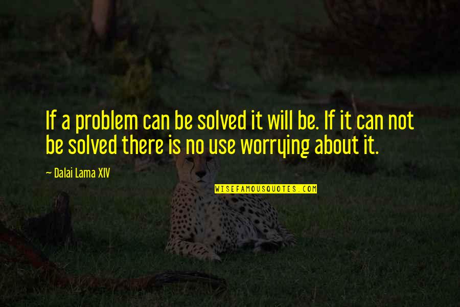 No Problem Is A Problem Quotes By Dalai Lama XIV: If a problem can be solved it will