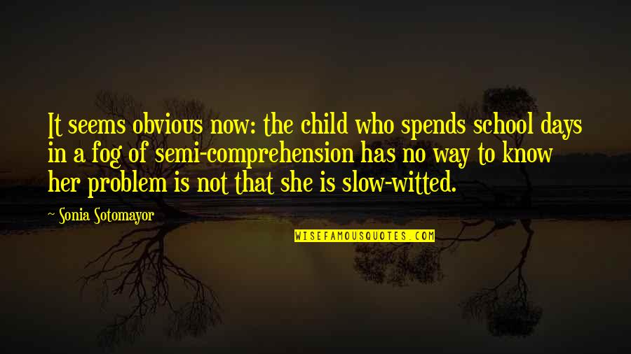 No Problem Is A Problem Quotes By Sonia Sotomayor: It seems obvious now: the child who spends