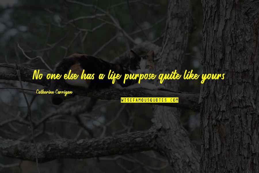 No Purpose Life Quotes By Catherine Carrigan: No one else has a life purpose quite