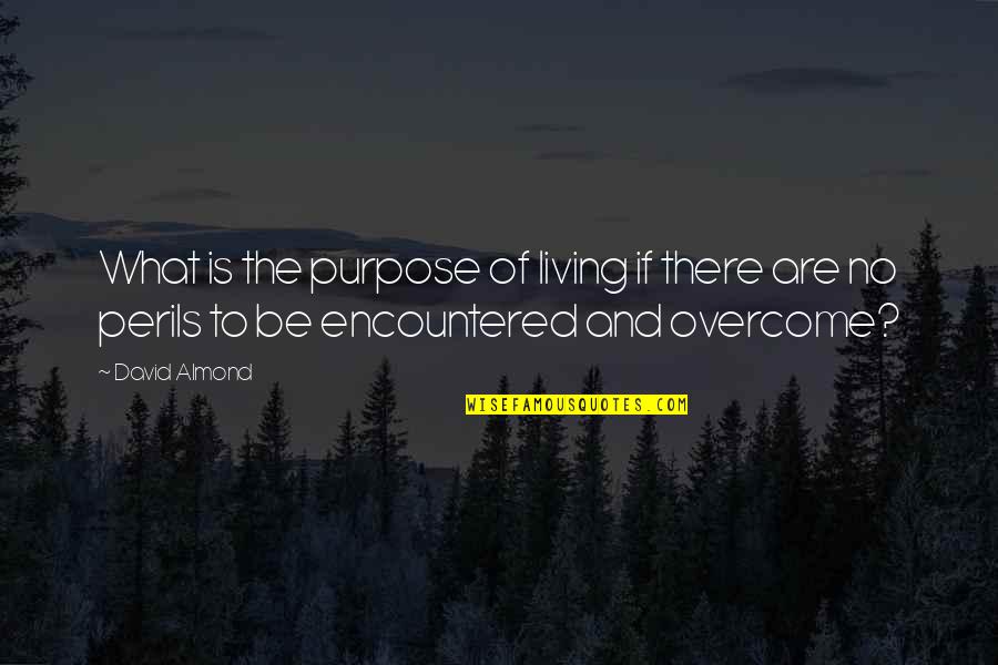 No Purpose Life Quotes By David Almond: What is the purpose of living if there