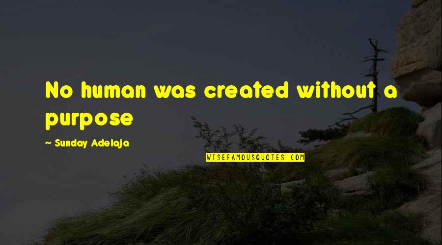 No Purpose Life Quotes By Sunday Adelaja: No human was created without a purpose No Purpose Life Quotes By Sunday Adelaja: No human was created without a purpose
