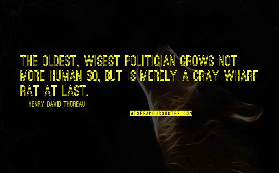 No Rats Quotes By Henry David Thoreau: The oldest, wisest politician grows not more human