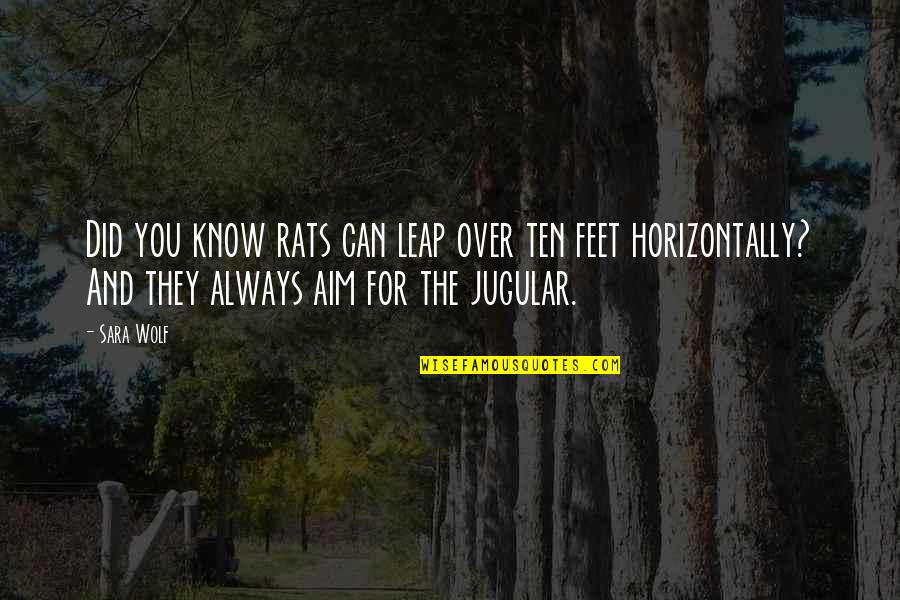 No Rats Quotes By Sara Wolf: Did you know rats can leap over ten