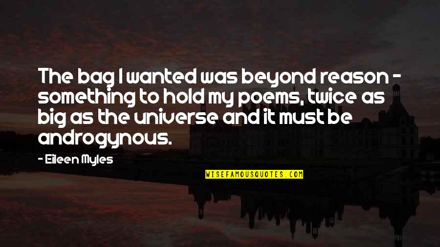 No Reason To Hold On Quotes By Eileen Myles: The bag I wanted was beyond reason -